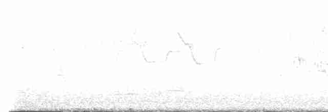 Cerulean Warbler - ML447252271