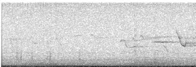 Oriole des vergers - ML447298121