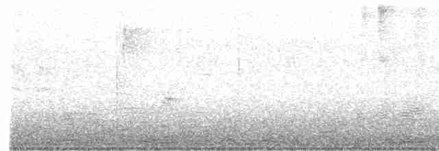 Common Yellowthroat - ML447421621