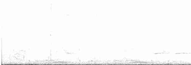 holub polynéský - ML447429511