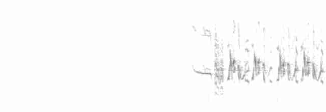 Balearengrasmücke - ML447446761