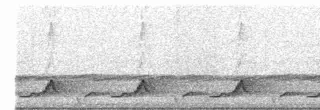 Schwarzkehl-Nachtschwalbe - ML447450551
