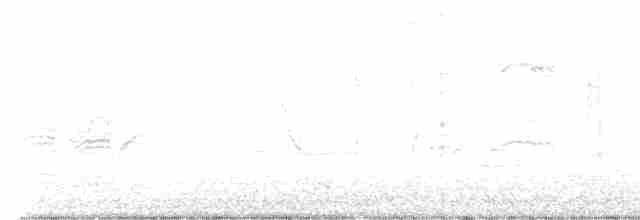 Black-capped Chickadee - ML447482701