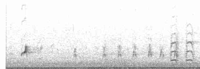 Brown-crested Flycatcher - ML447505971