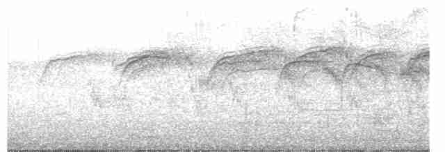 ヨーロッパアマツバメ - ML447518441