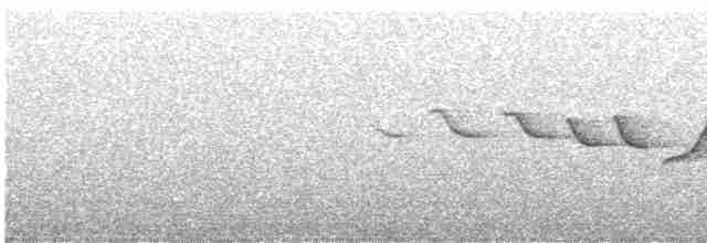 Fan-tailed Warbler - ML447667051