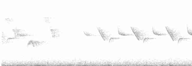 Желтогорлая овсянка - ML447806441