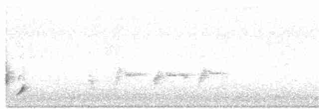 Australian Reed Warbler - ML44782671
