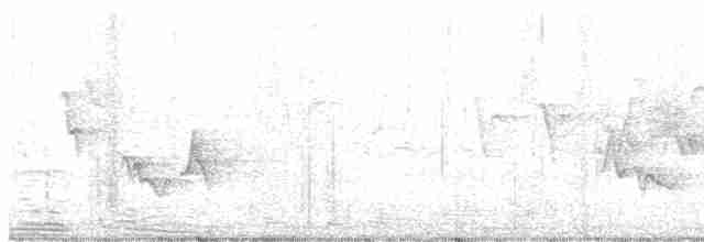 lesňáček modropláštíkový - ML447847351