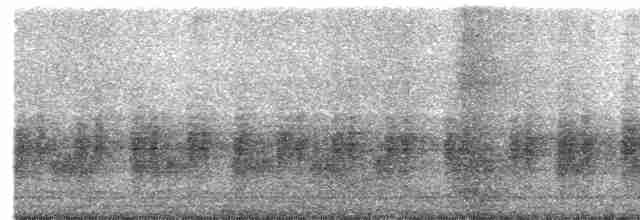 Streak-eared Bulbul - ML447851801