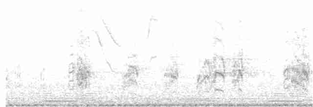 Turuncu Alınlı Papağan - ML44787511