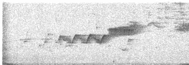 Cerulean Warbler - ML447978201