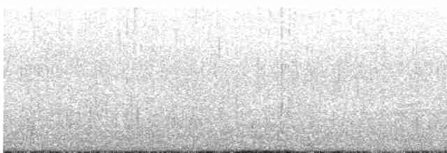 Малая морская чернеть - ML448009761
