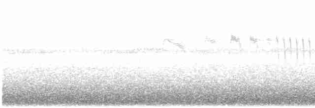 ツリスアマツバメ - ML448152741