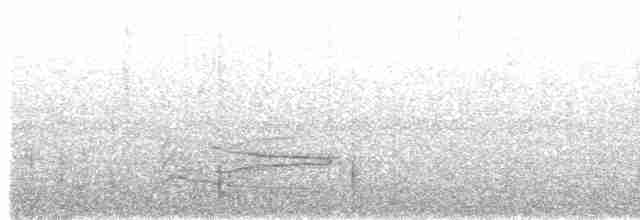 Розовогорлая пиранга - ML448154871