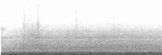 Длинноклювый кулик-сорока - ML448181511