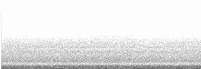 Gray-tailed Tattler - ML448182701