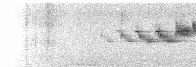 Black-throated Gray Warbler - ML448184271