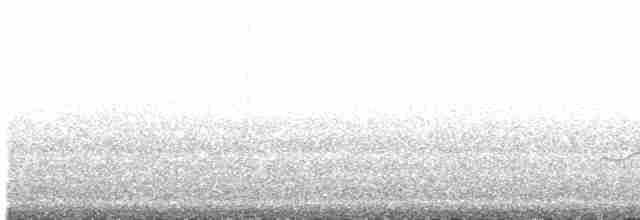 Gray-tailed Tattler - ML448185611