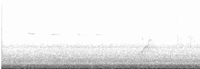 Мангровая веерохвостка - ML448187471