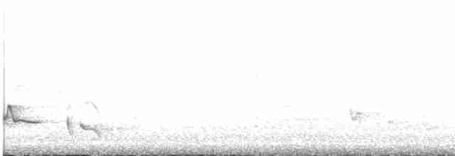 Певчий медосос - ML448190101