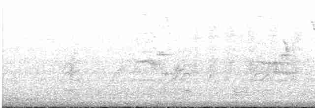 ハジロオーストラリアムシクイ - ML448209781
