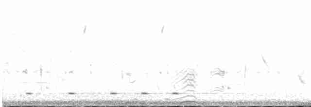 holub chocholatý - ML448212331