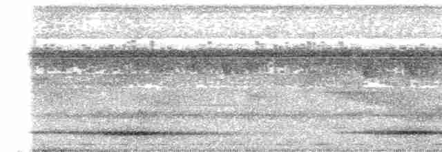 Kestane Kolyeli Dağ Kekliği - ML448222431