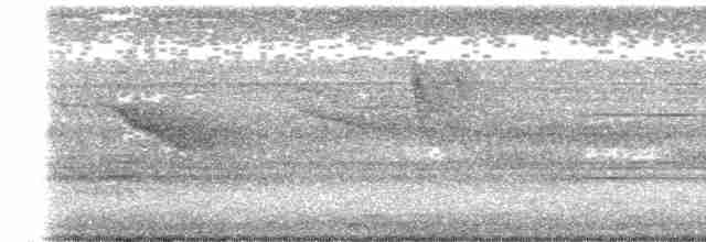Gray-headed Babbler - ML448222841