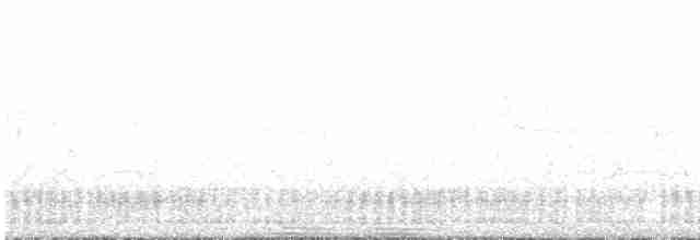 hvitsmykkehonningeter - ML448231931