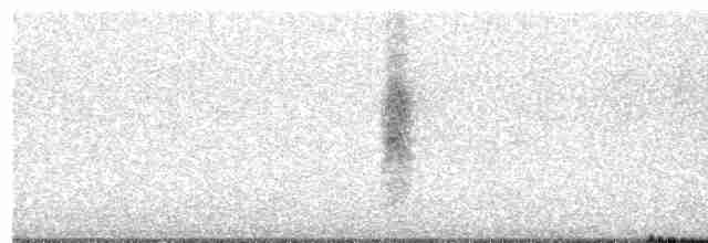 חרטומית סיבירית - ML448249421