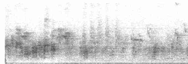 Clamorous Reed Warbler - ML448253011