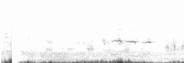 Great Reed Warbler - ML448282551