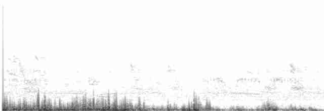 黑腹燕鷗 - ML448283081