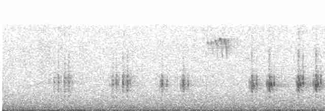 Great Reed Warbler - ML448371181