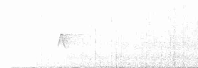 Acadian Flycatcher - ML448371621