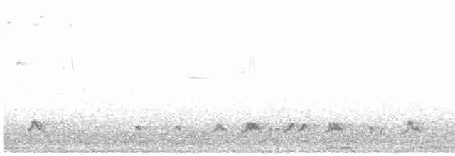 European Bee-eater - ML448422421