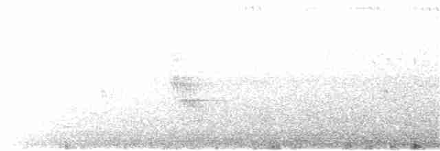 ニシヒメアマツバメ - ML44844491