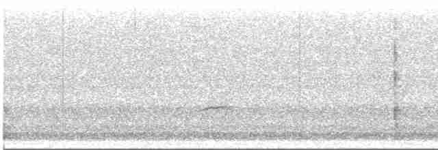 Дрізд-короткодзьоб Cвенсона - ML448462451