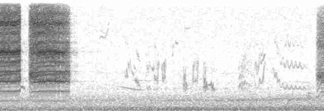 Loggerhead Shrike - ML44849