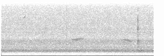 Kara Kanatlı Piranga - ML448501461