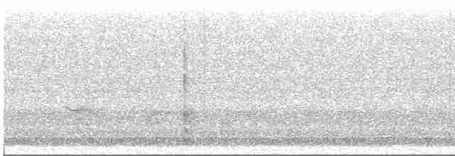 Kara Kanatlı Piranga - ML448501491