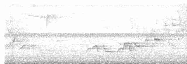 Дрізд-короткодзьоб Cвенсона - ML448525031