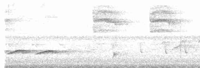 Дрізд-короткодзьоб Cвенсона - ML448525101