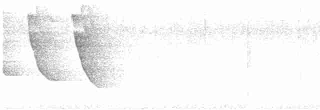 Kuzeyli Kara Yüzlü Kocabaş - ML448563231