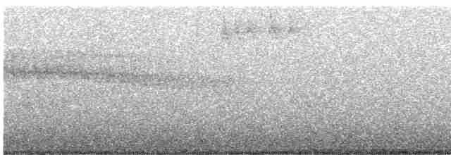 Black-throated Gray Warbler - ML448624361