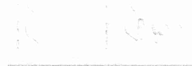 drozdec černohlavý - ML448661341