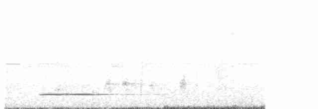 Thicket Tinamou - ML448708161