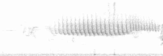 Chaparralgrasmücke - ML44874