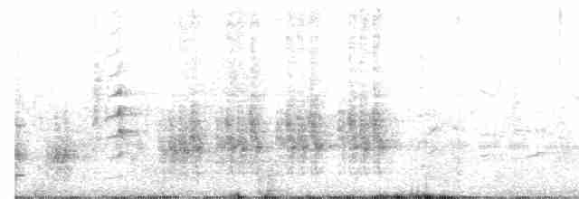 Great Reed Warbler - ML448751661
